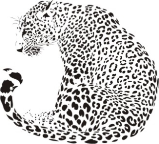 Wild cats 1 / leopard, samolepka na zeď, rozměry 48x53cm / L